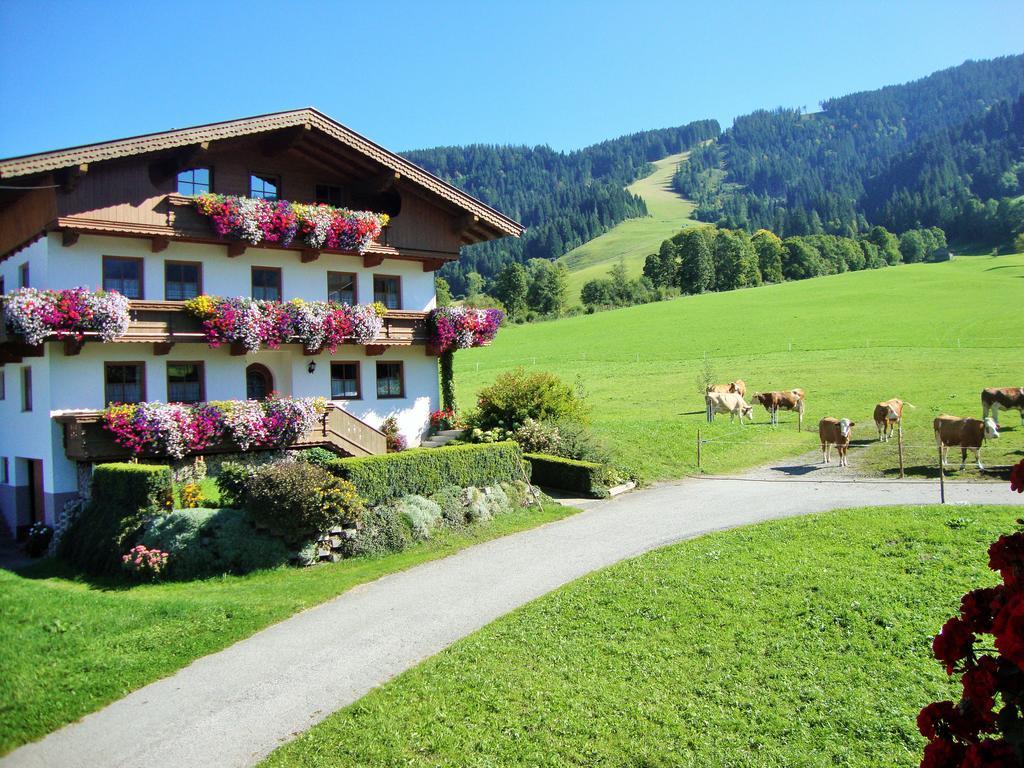 Sixenhof Apartamento Niederau Exterior foto