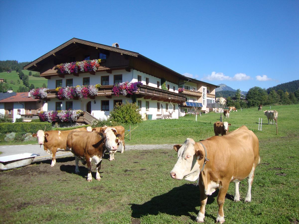 Sixenhof Apartamento Niederau Exterior foto
